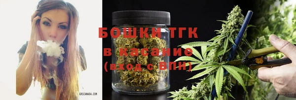 шишки Алексин