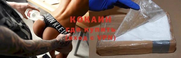 шишки Алексин