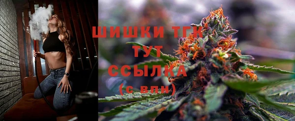 шишки Алексин